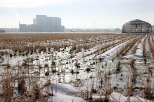 2日明け方は晴れて三条は－1.3度の厳しい冷え込み