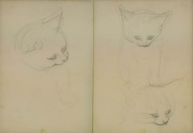 岩田正巳の猫の素描