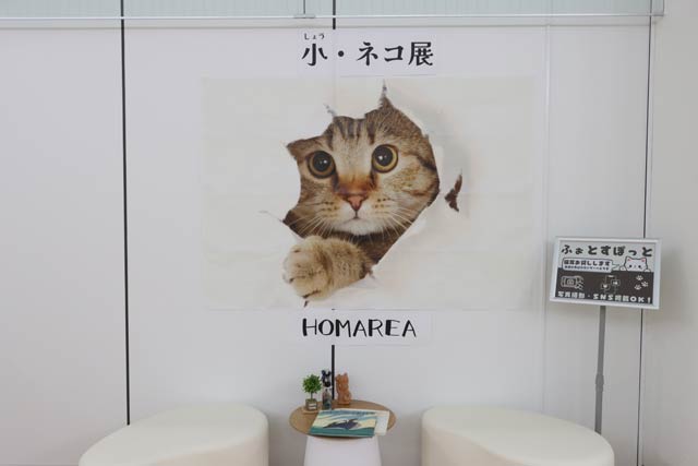 ネコがテーマのフォトスポットも
