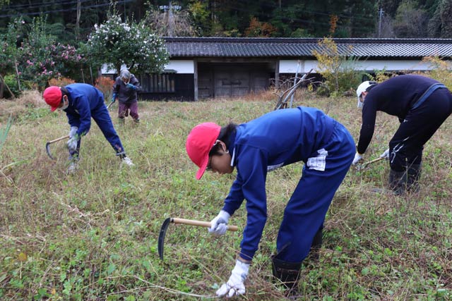 総合学習でノジコの会と長屋門を学んでいる月岡小6年生が昨年11月の草刈りのボランティア