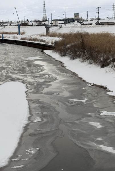 瑞雲橋たもとの信濃川に川面に氷や雪が浮かぶ
