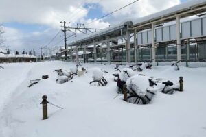 新潟市は記録的なドカ雪で一気に積雪63センチに