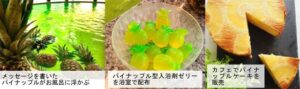 小学校卒業生の幸運を願う「パイナップル風呂」 22・23日と日帰り温泉「花の湯館」で