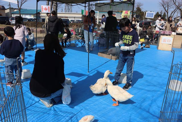 「JONGIバザール」でふれあい動物園