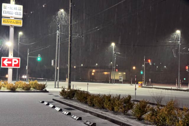 30日午後10時ごろの新潟市東区は雪で真っ白に