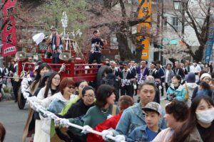 桜ほころぶ弥彦で湯かけまつり 「弥彦にしてよかったね」