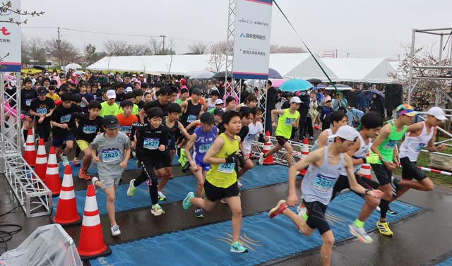 燕さくらマラソン大会