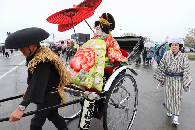 写真撮影用の染井吉野太夫は人力車で登場
