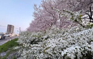 強い風雨に落雷、ひょうまで降る大荒れの春の嵐
