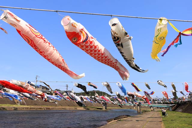 強い風で水平になって全速力で青空を泳ぐ