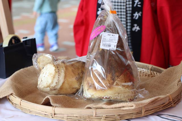 競りにかけた白子タケノコ