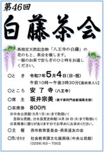 5月4日に燕市・白藤茶会 県指定天然記念物「八王寺の白藤」を守る安了寺で