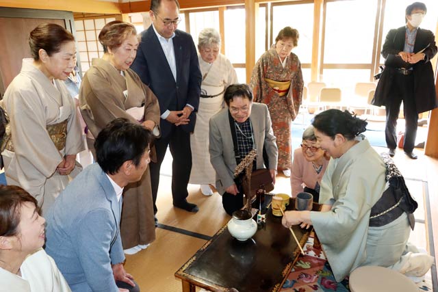 安了寺で開かれている白藤茶会