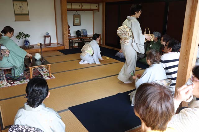 白藤茶会
