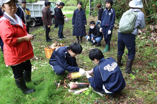 「道の駅 SORAIRO 国上」が分水高校ボランティア部らと掘ったタケノコの皮むき