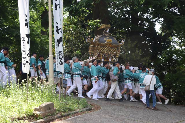 みこしが加茂山を下る