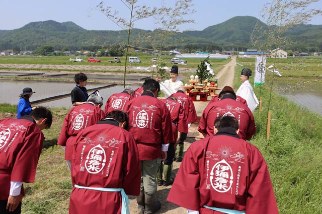 弥彦神社による神事