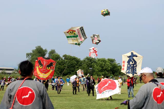 三条凧合戦1日目