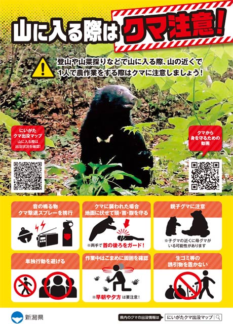 県のクマ注意喚起ちらし