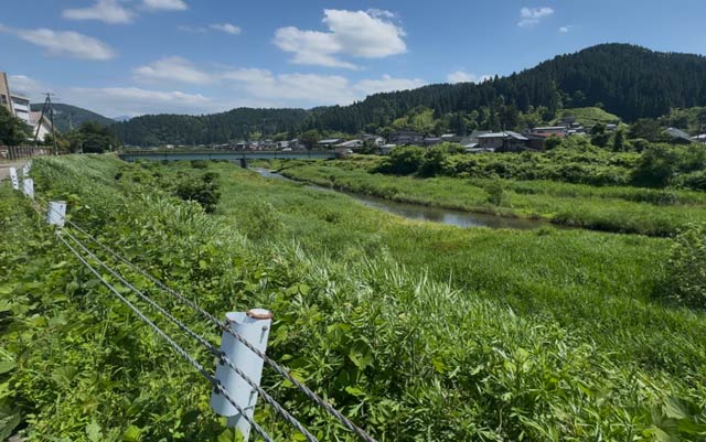 クマが立ち去った加茂川上流方向