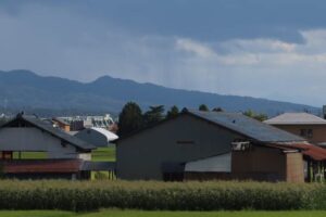 【加茂市黒水で41ミリの雨】加茂市と三条市の山手で夕立のように短時間に強い雨が降る恵みの雨