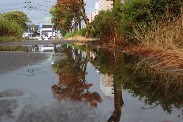 6日午前8時ごろ燕三条地場産業振興センター付近