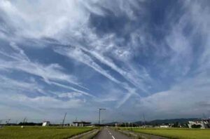 29日午後に加茂市で