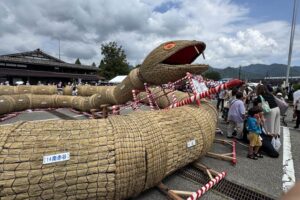 31日に関川村で行われた大したもん蛇まつりは猛暑でも大にぎわい