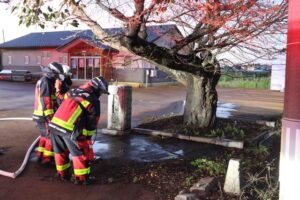 燕市でサクラの木が燃える怪現象