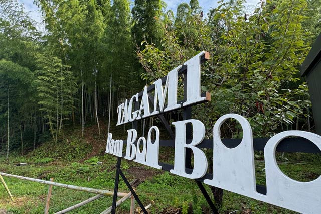 準備が進むバンブーブー竹林