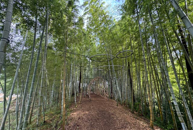 準備が進むバンブーブー竹林