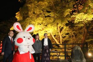 弥彦菊まつりにあわせてライトアップ始まる