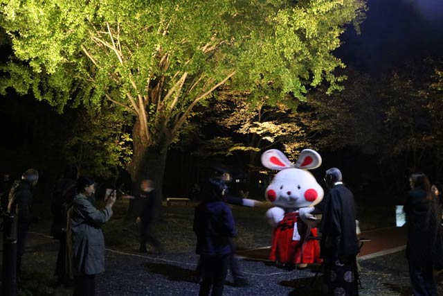 大イチョウの点灯式