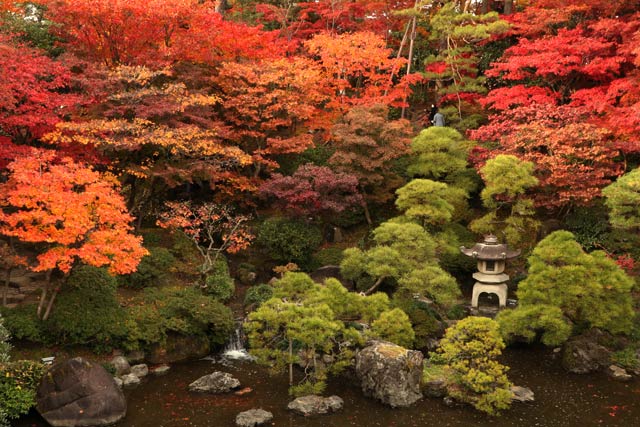 24日の旧齋藤家別邸の紅葉