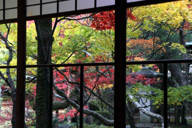 旧齋藤家別邸の紅葉