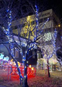 県央研究所のイルミネーション