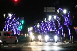 ことしも始まった見附市役所前通りの街路樹イルミネーション