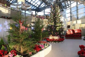新潟県立植物園で25日まで「クリスマス展～サンタクロースがやってきた～」