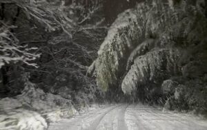 大みそから元日にかけて年またぎの大雪で三条市は積雪19センチ
