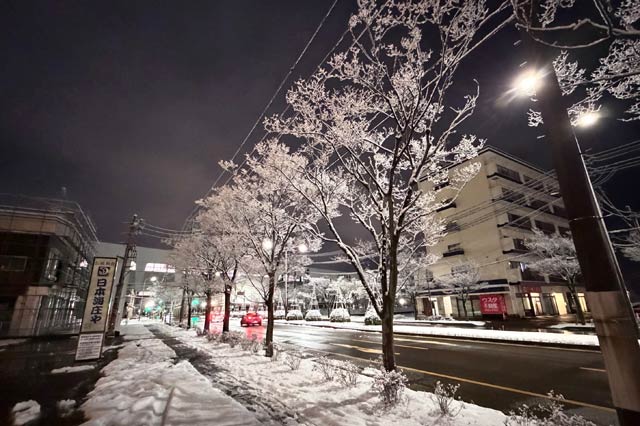 2日深夜の三条市で枝に津追った雪と小望月
