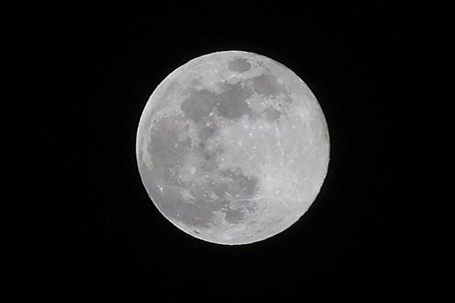 3日深夜の満月「ウルフムーン」