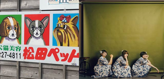 松田ペット看板とNegicco