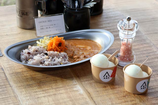 青芳スパイスtカレーと塩レモンライス