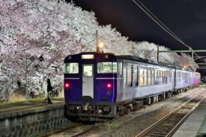 分水おいらん道中を前に夜桜列車 JR分水駅で満開の桜が乗客迎える