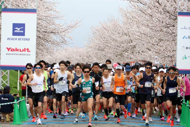 燕さくらマラソン大会
