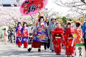 青空と花吹雪の春絵巻 分水おいらん道中に2万4千人 外八文字に沿道から大きな拍手