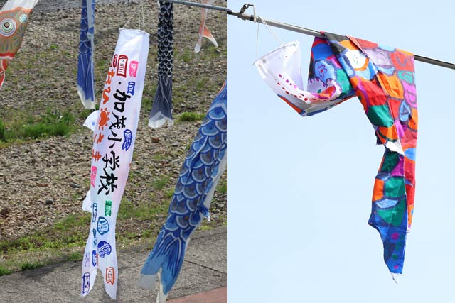 加茂小と須田中のオリジナルこいのぼり