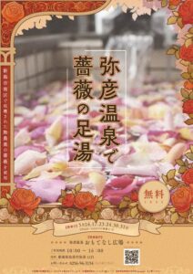 弥彦温泉で薔薇の足湯