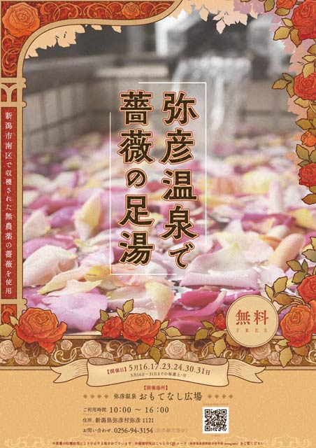 弥彦温泉で薔薇の足湯