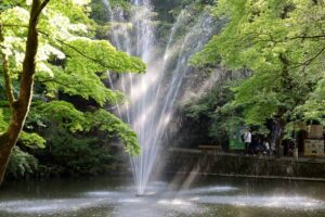 19日の三条市は最高気温30.5度で2日連続で真夏日